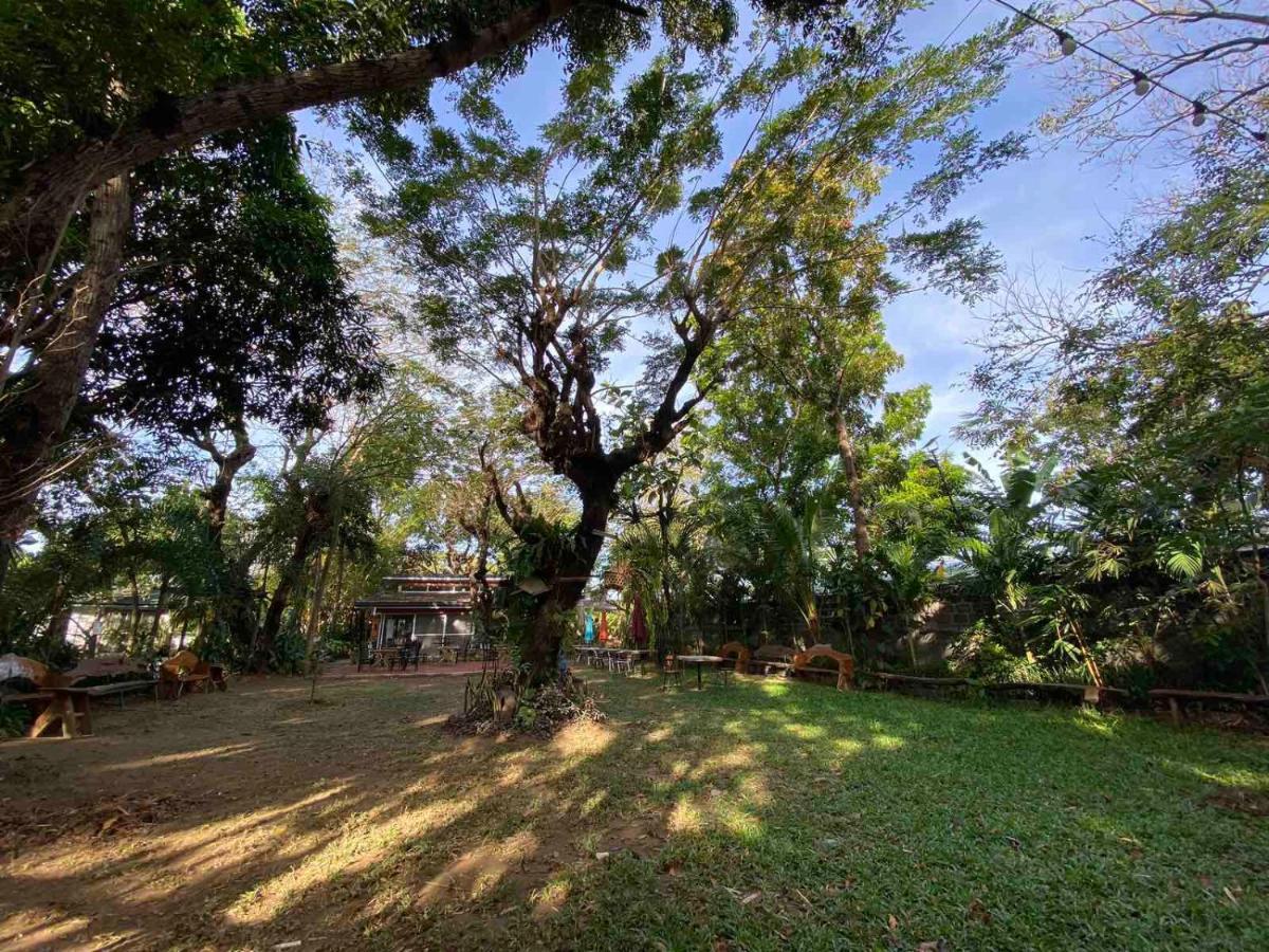 Rio Vista Bed And Breakfast Dagupan City 外观 照片